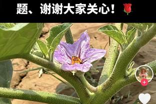 法媒：大巴黎有意卡塞米罗，有沙特球队愿为其提供2000万美元年薪